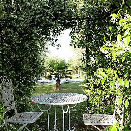 Ulivi 4*